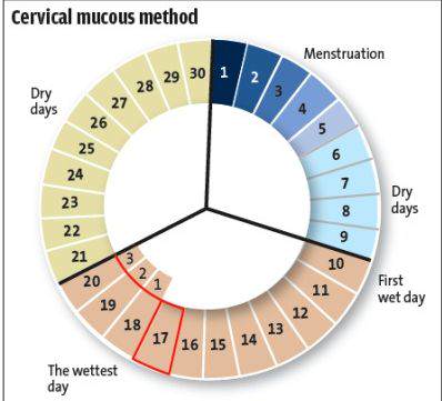 Calendar Method Chart Birth Control
